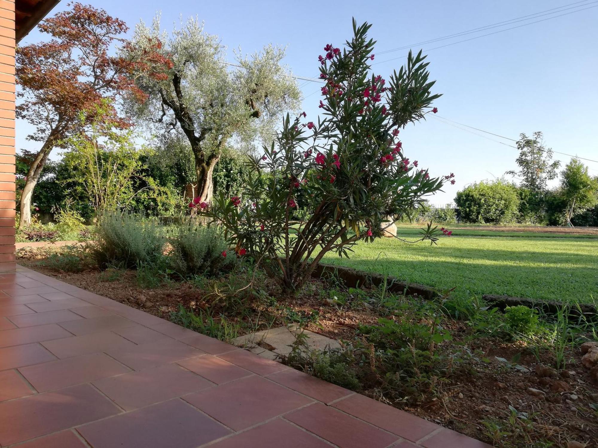 Villa Caterina Country Apartment Bedizzole Exteriör bild